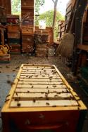Veranstaltungsbild Imkereibesuch, Honigbienen live erleben